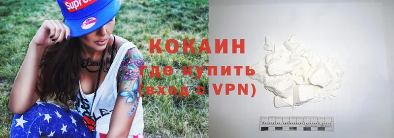 где купить   Камышин  COCAIN FishScale 