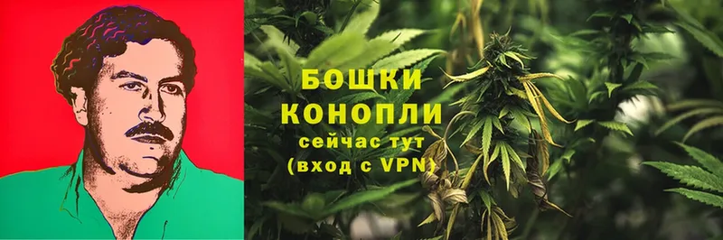 Шишки марихуана THC 21%  Камышин 